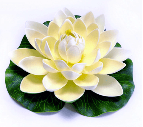 Drijvende Lotus Bloem Wit 18 cm boeddha